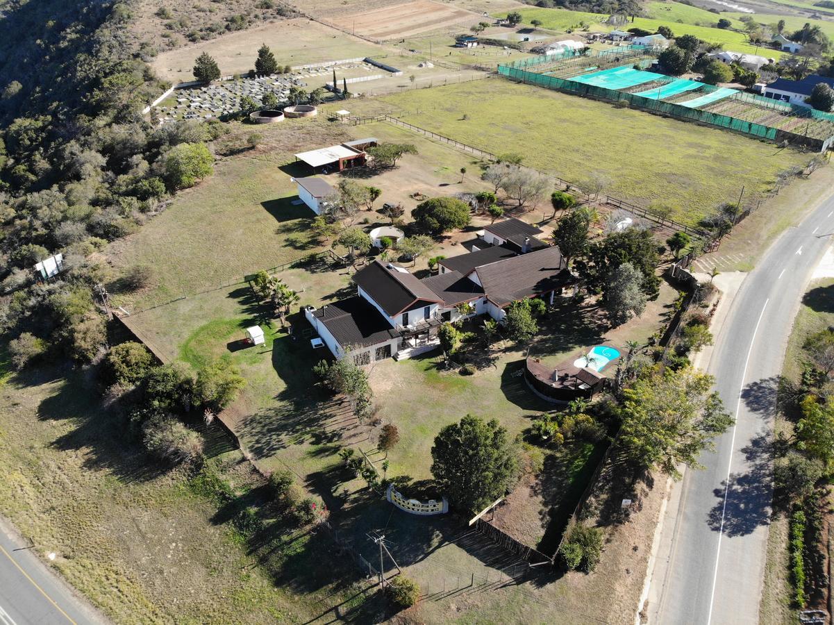 Cheetah Lodge Guest House Hartenbos Extérieur photo